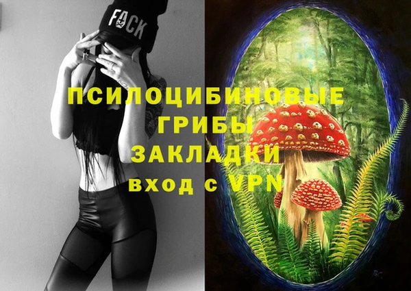 МДМА Алексин